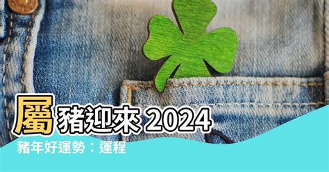 豬運程2024|屬狗/豬/鼠生肖運程2024｜龍年屬狗今年多變化 屬豬為 